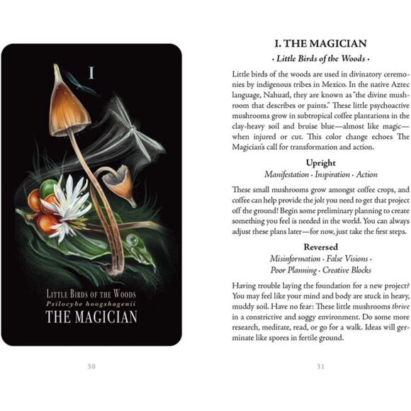 Midnight Magic Mushroom Tarot Deck and Guidebook - Picture 5 of 6